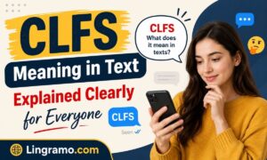 CLFS Meaning