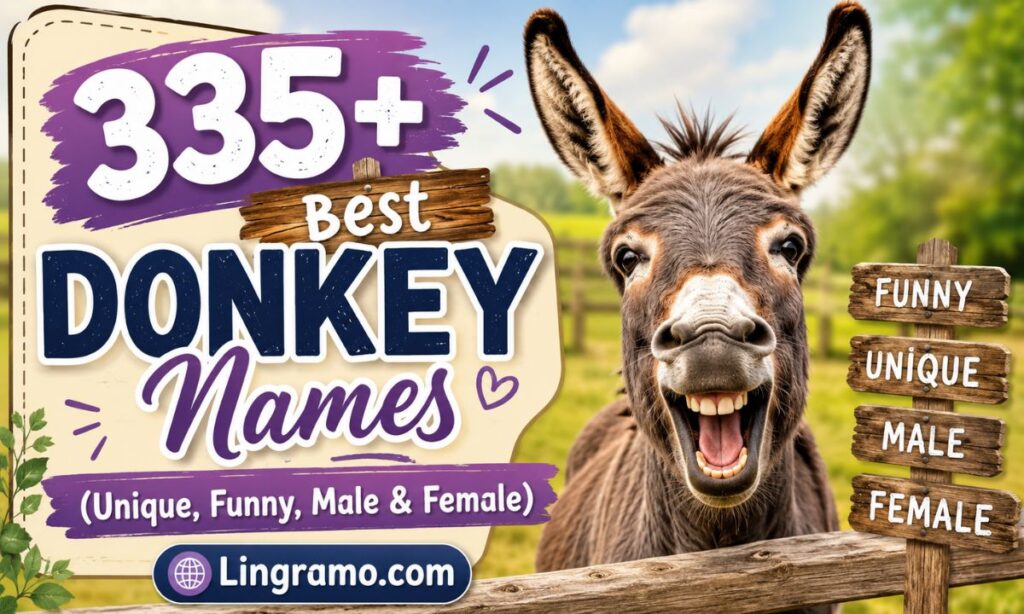 Donkey Names
