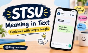 STSU meaning in text