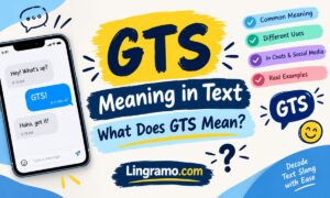 GTS Meaning in Text